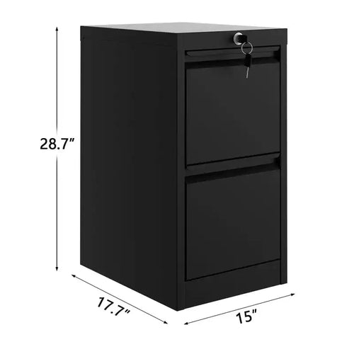 2-Drawer Lockable File Cabinet, Vertical Metal File Cabinet, Sturdy and Durable Home Office File Storage, Assembly Required